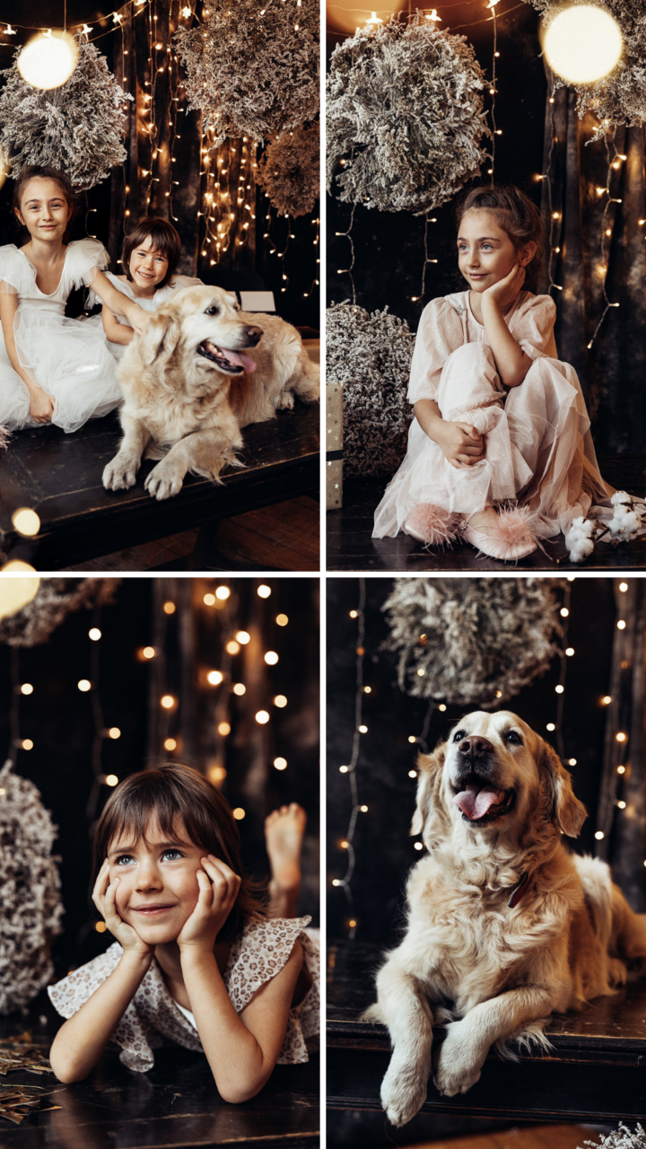 sesje świąteczne 2025